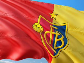 爱游戏 电竞-国际田联钻石联赛异军突起，2021年国际田联钻石联赛赛程